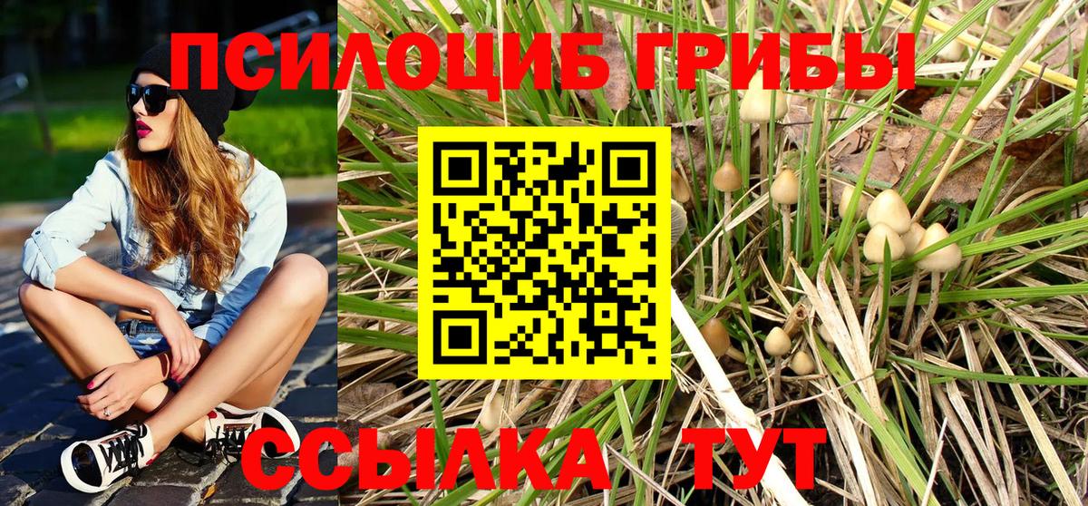 Псилоцибиновые грибы MAGIC MUSHROOMS  Галлюциногенные грибы ЛСД  Конаково  Вход с VPN 